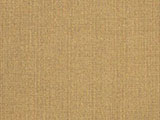Sunbrella Spectrum Sesame (48084-0000)